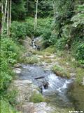 Bosque Estatal de Toro Negro - OROCOVIS, JAYUYA, JUANA DÍAZ